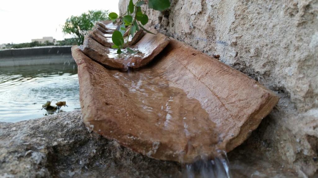 פאביננה Casa Vacanze Senia Del Rais מראה חיצוני תמונה