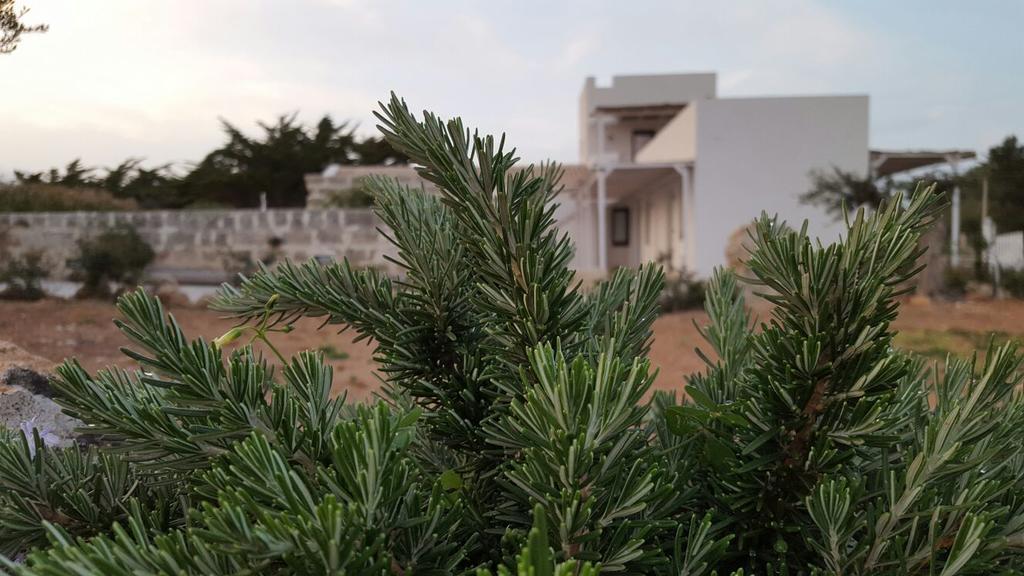 פאביננה Casa Vacanze Senia Del Rais מראה חיצוני תמונה